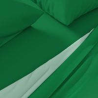 green coordinate fabric