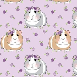 large guinea-pigs-with-lavender roses