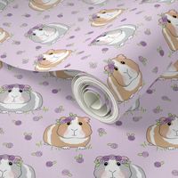 medium guinea-pigs-with-roses-larger-lavender