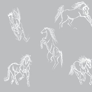 Equine Gestures Grey