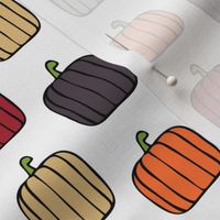 multi pumpkins - fall colors