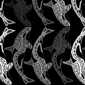 Orca Greys and Black Rotated