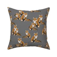 Friendly Foxes on Dark Grey