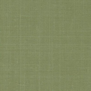 LINEN SOLID .  SPRING SAGE