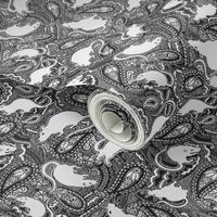 Paisley-Power-SMALL-white-rat-print