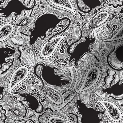 Paisley Rats  SMALL white black