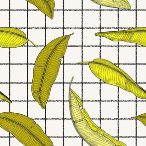 URBAN_GARDEN_LEAF_GRID_SUNNY