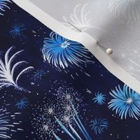 Summer Fireworks Show in dark blue