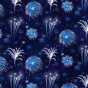 Summer Fireworks Show in dark blue
