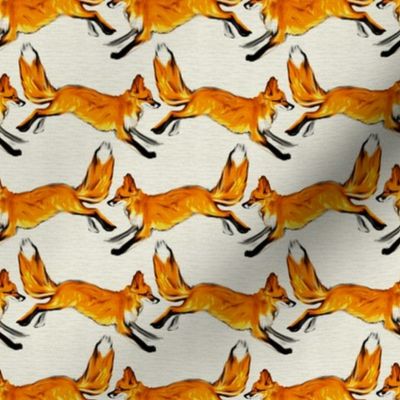 Running Golden Red Foxes