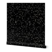 Constellations - black background
