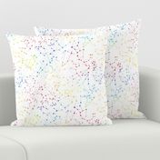 Rainbow  Constellations - white background