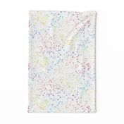 Rainbow  Constellations - white background