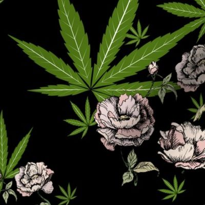 Cannababe Cannabis Floral 