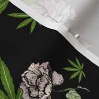 Cannababe Cannabis Floral 