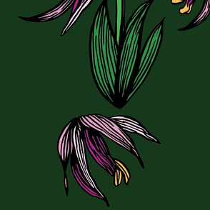 ORCHID_HEAVY_LINES_PATTERN_GREEN_BKGD