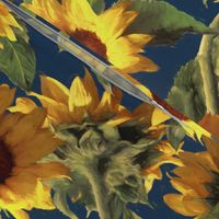 Sunflowers on Dark Blue Rotated