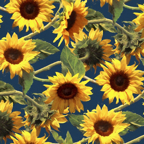 Sunflowers on Dark Blue Rotated