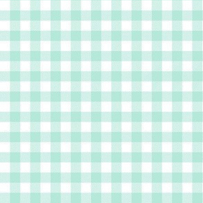 mint plaid design