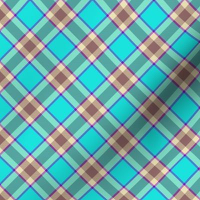 Caleb Tartan