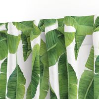 Watercolor Banana Leaves