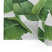 Watercolor Banana Leaves