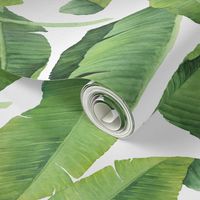 Watercolor Banana Leaves