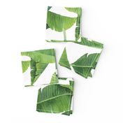 Watercolor Banana Leaves