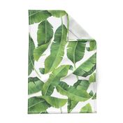 Watercolor Banana Leaves