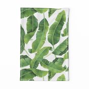 Watercolor Banana Leaves