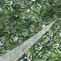 Watercolor Monstera Leaves