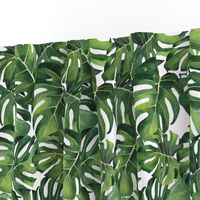 Watercolor Monstera Leaves