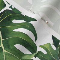 Watercolor Monstera Leaves