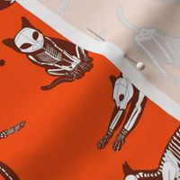 haunted cat skeletons orange and brown