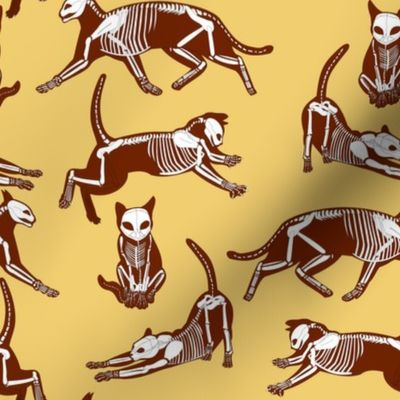 haunted cat skeletons tan and brown