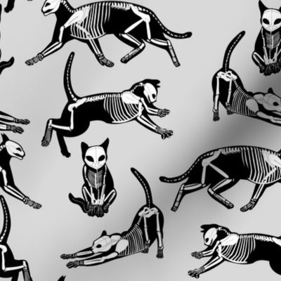 haunted cat skeletons gray and black