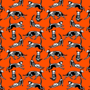 haunted cat skeletons orange and black