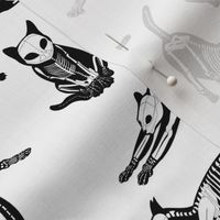 haunted cat skeletons white and black