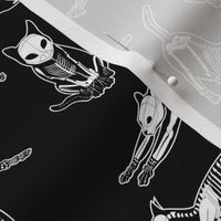 haunted cat skeletons black and white