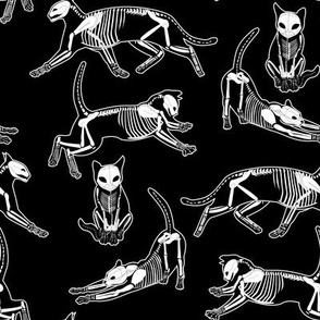 haunted cat skeletons black and white