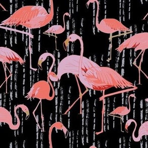 Pink Flamingos 
