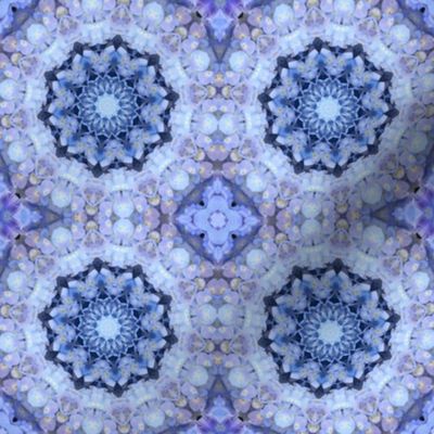 Blue Hydrangea Mandalas 1508