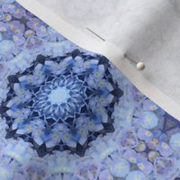 Blue Hydrangea Mandalas 1508