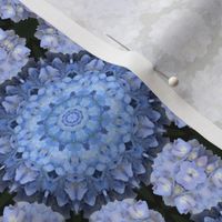 Blue Hydrangea Mandalas 1466