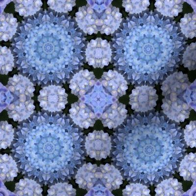 Blue Hydrangea Mandalas 1466