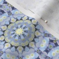 Pale Blue Hydrangea Mandalas 1464