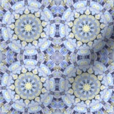 Pale Blue Hydrangea Mandalas 1464