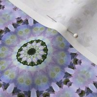 Pastel Multicolored Mandala 1496