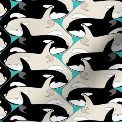 Killer Whale Orca Pod with Albinos