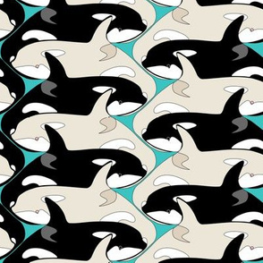 Killer Whale Orca Pod with Albinos